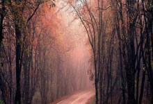 [图]武磊梅开二度破纪录 上海海港4-3长春亚泰.