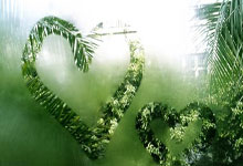 南宫体育：李磊夺得亚冬会越野滑雪女子个人短距离（传统技术）金牌央视新闻客户端.