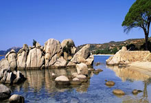 南宫体育：足球老故事｜从中超弃将到澳大利亚国脚，到底是谁看走了眼？.